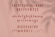 Roller Coaster Serif (Bonus), a Serif Font by Anxiety Studio (Thumbnail 18 of 19)