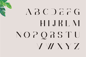 Brescia Modern Serif