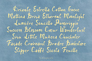 Marin Solis Coastal Handwritten font, a Handwritten Font by alenaganzhela (Thumbnail 4 of 10)