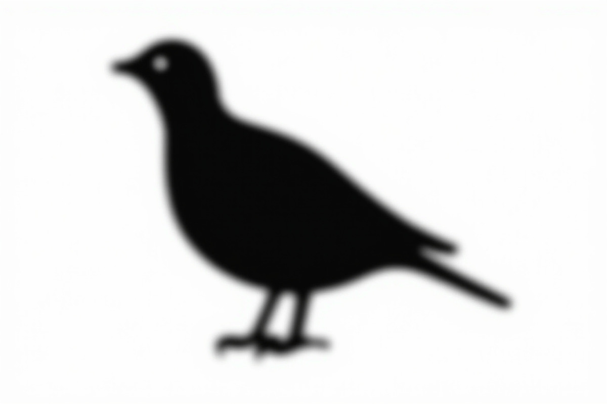 Bird Silhouette design bundle, an Illustration by BIPLOB EXPERT (Photo 8 of 13)