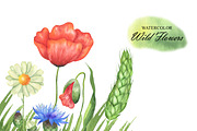Watercolor Wildflowers clipart, an Illustration by OlDm_Shop (Thumbnail 5 of 7)
