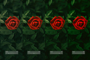 Fuji Fortia SP, a Preset Add-On by colorituals (Thumbnail 2 of 8)