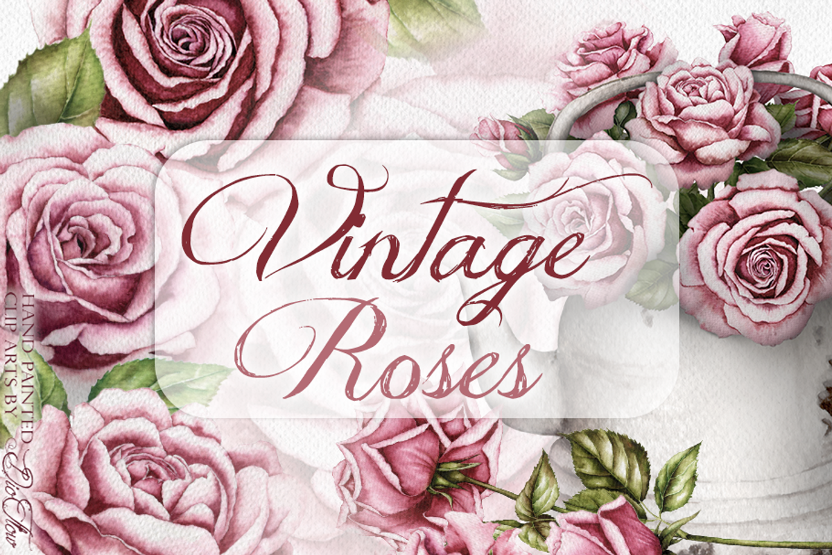 Vintage Roses Illustration, a Decorative Illustration by DioFlow (Photo 1 of 5)