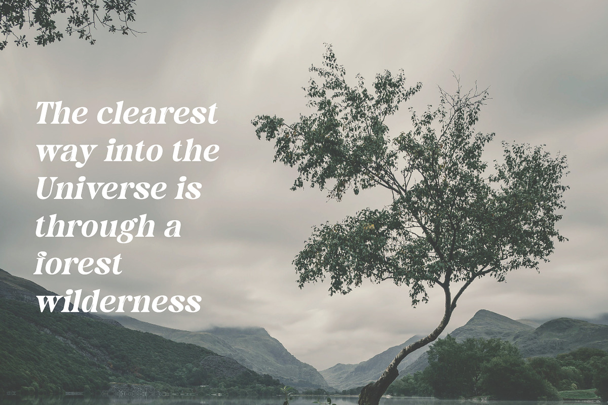 Norevia | Elegant Serif Typeface, a Serif Font by Artdez (Photo 5 of 5)