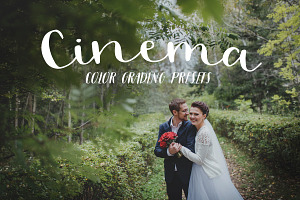 Premiere Pro wedding presets