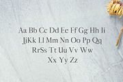 Aludra Serif 12 Font Family Pack, a Serif Font by Creativetacos (Thumbnail 2 of 5)