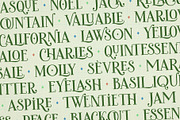 Charlot Decorative Font & Ornaments, a Font by Molly Suber Thorpe (Thumbnail 2 of 8)