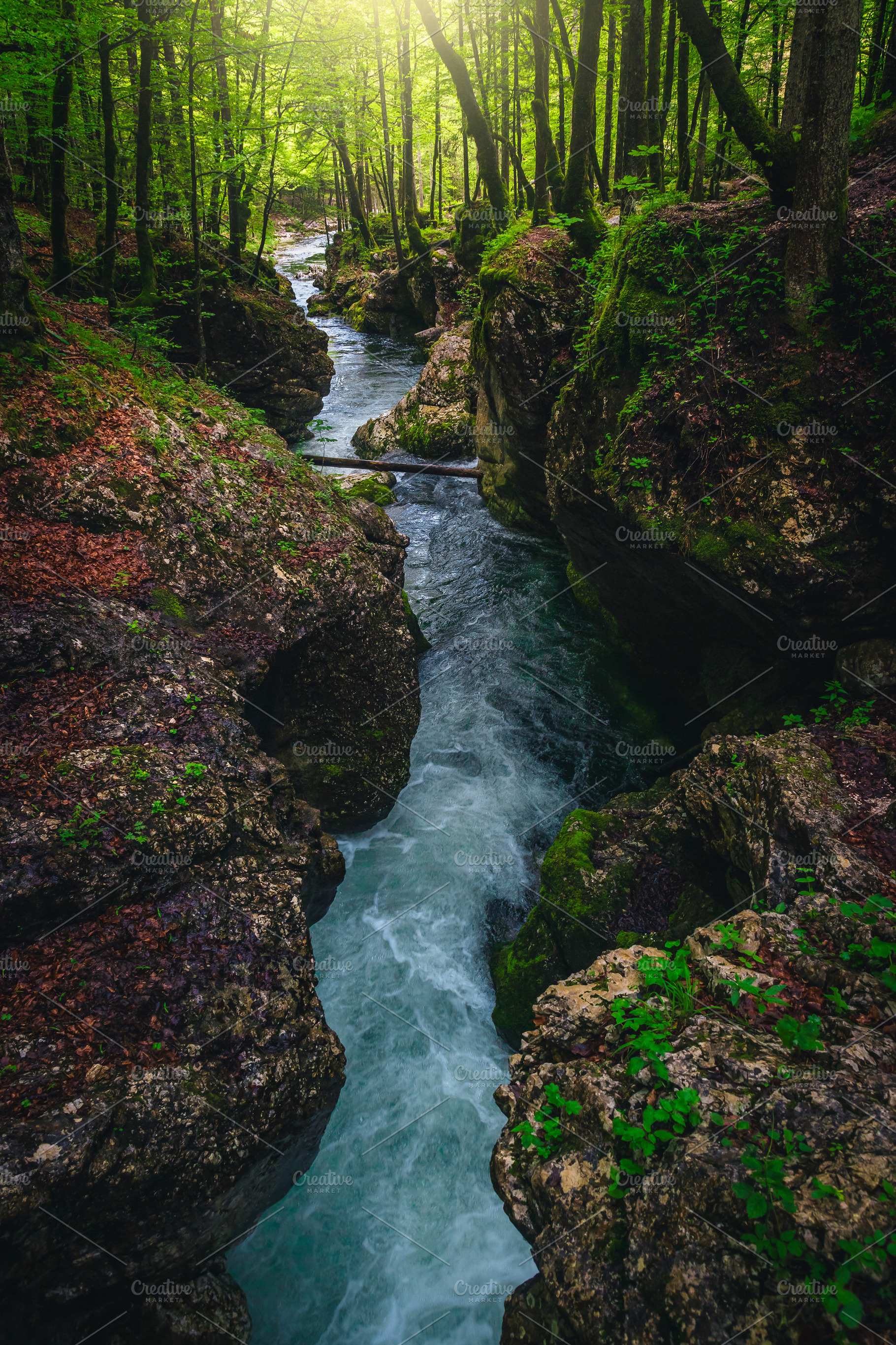 Mostnica river in the narrow gorge, a Nature Photo by Alpine Dreams