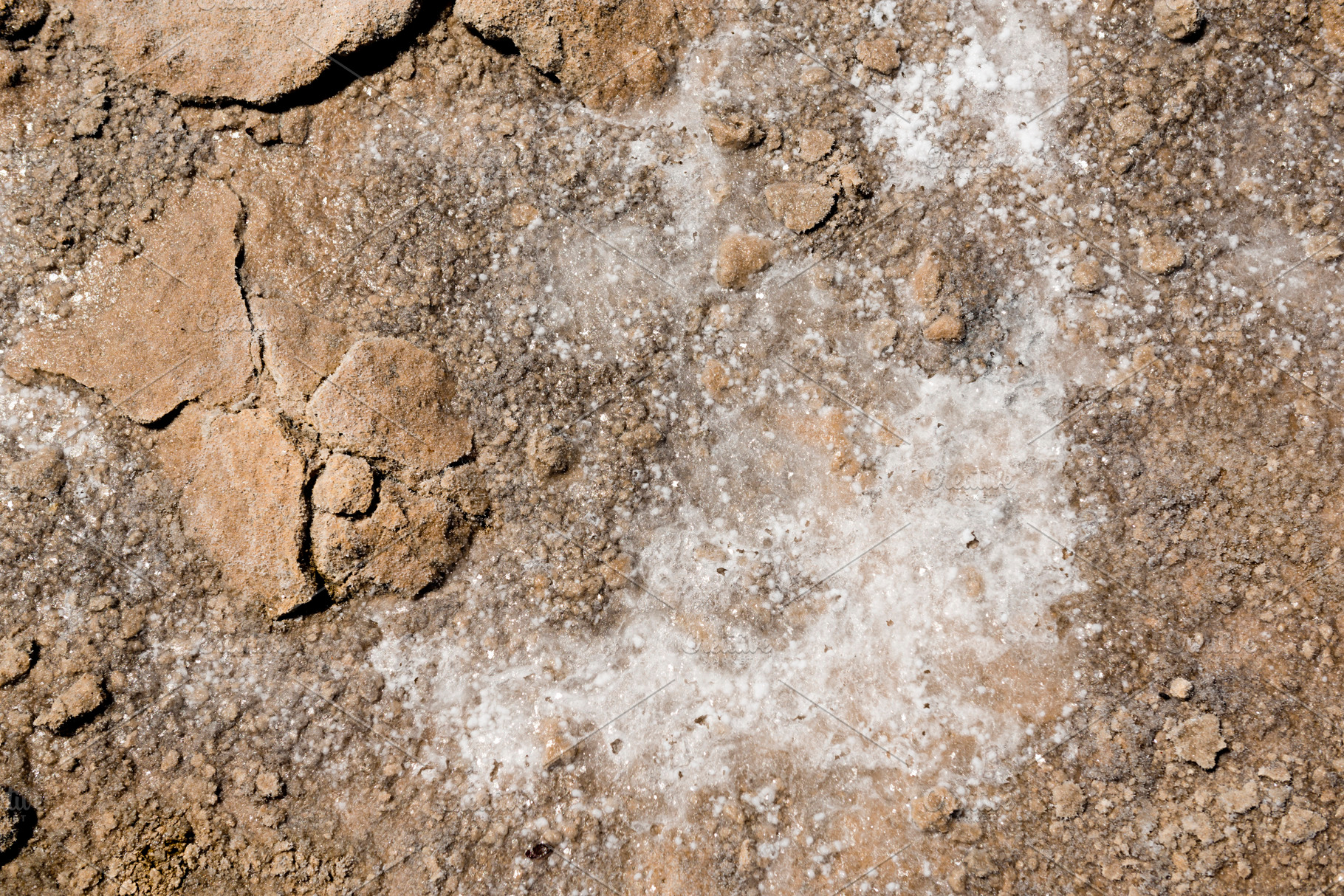 Salt Earth, a Background Photo by THP Creative