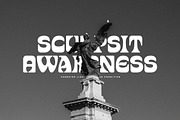Starboy - Bold Display Font, a Serif Font by Shakira Studio (Thumbnail 2 of 18)
