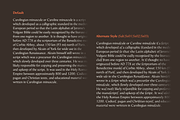 Serat | Flared Serif Family, a Serif Font by Wahyu & Sani Co. (Thumbnail 9 of 15)