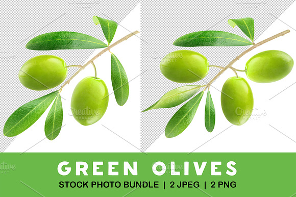 Green olives on a branch preview 5