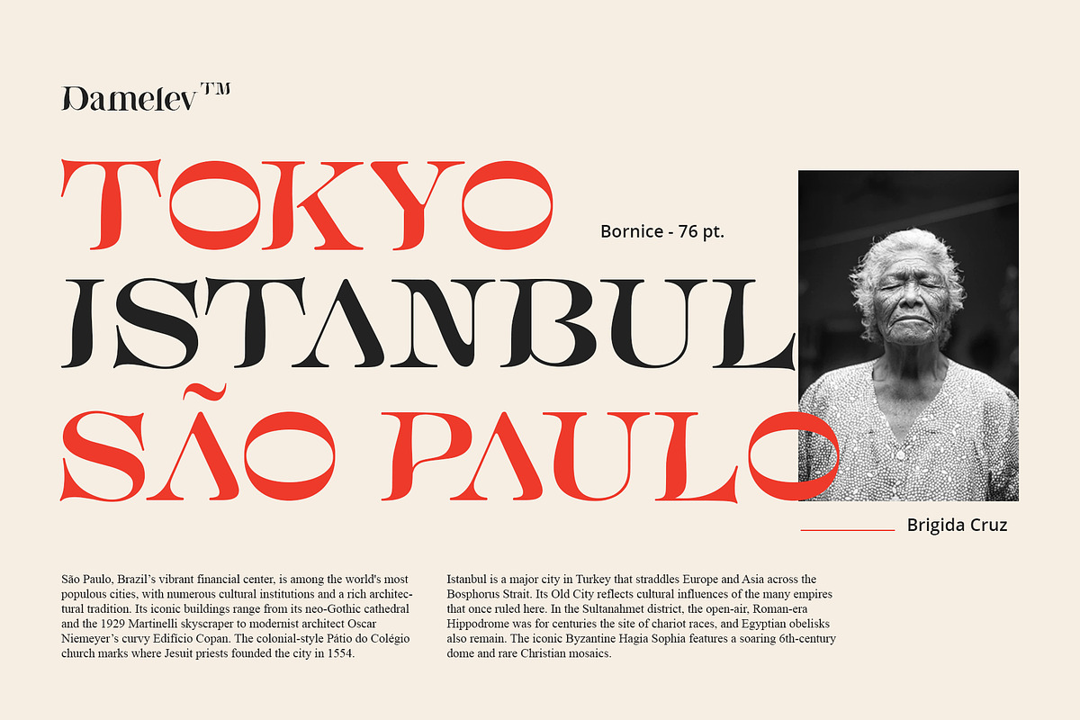 Bornice Modern Serif, a Serif Font by Damelev (Photo 2 of 13)