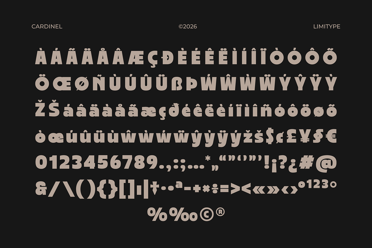 Cardinel - Bold Font, a Sans Serif Font by limitype (Photo 12 of 13)