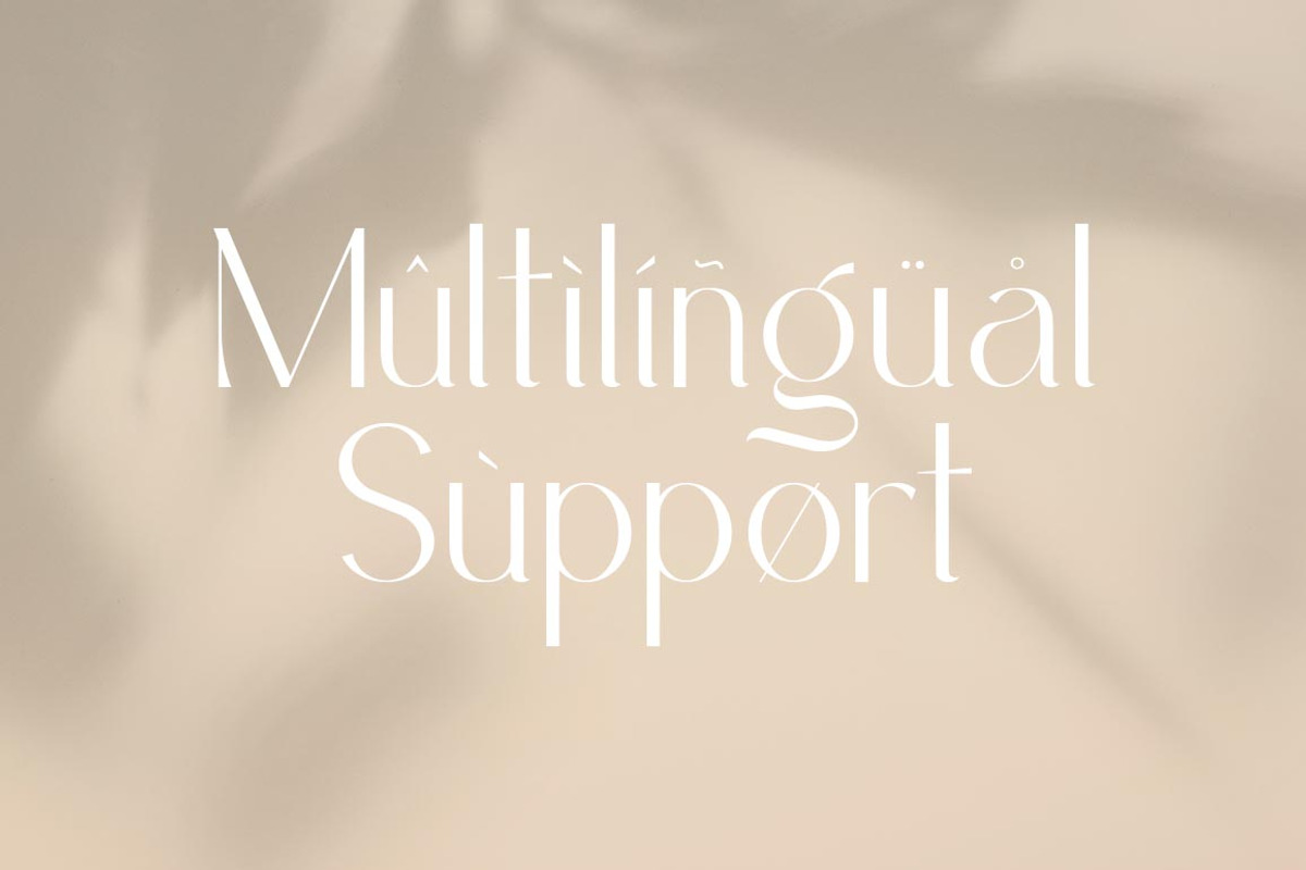 Callingstone Modern Sans Serif Font, a Sans Serif Font by Heinzel Std (Photo 9 of 9)