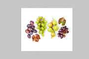 Autumn Fruits Photo Pack, a Food & Drink Photo by ifiStudio (Thumbnail 6 of 11)