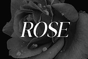 Royale Blackstone Retro Serif Font, a Serif Font by UICreative (Thumbnail 10 of 13)