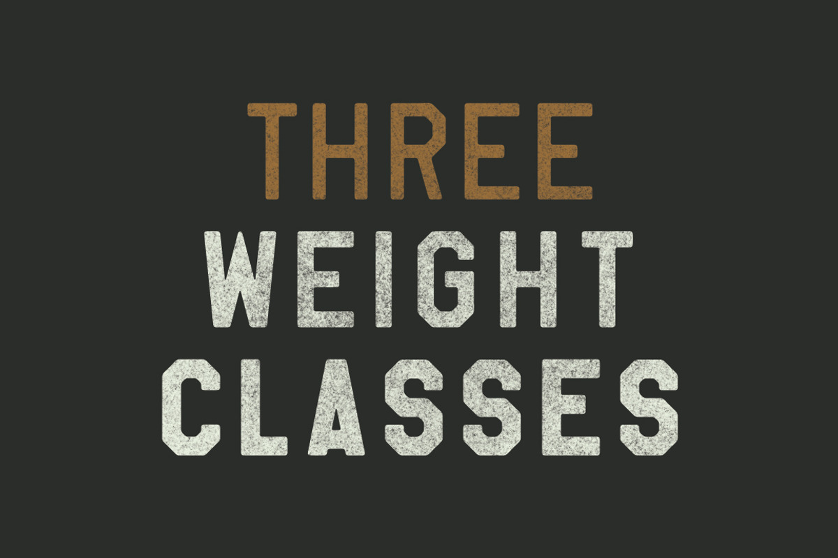 Whiskey Logo Bundle + Fonts, a Branding & Logo Template by Millieangelo (Photo 4 of 5)