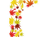 Autumn Leaves Border Set, a Decorative Illustration by Pavel Vectors (Thumbnail 5 of 8)