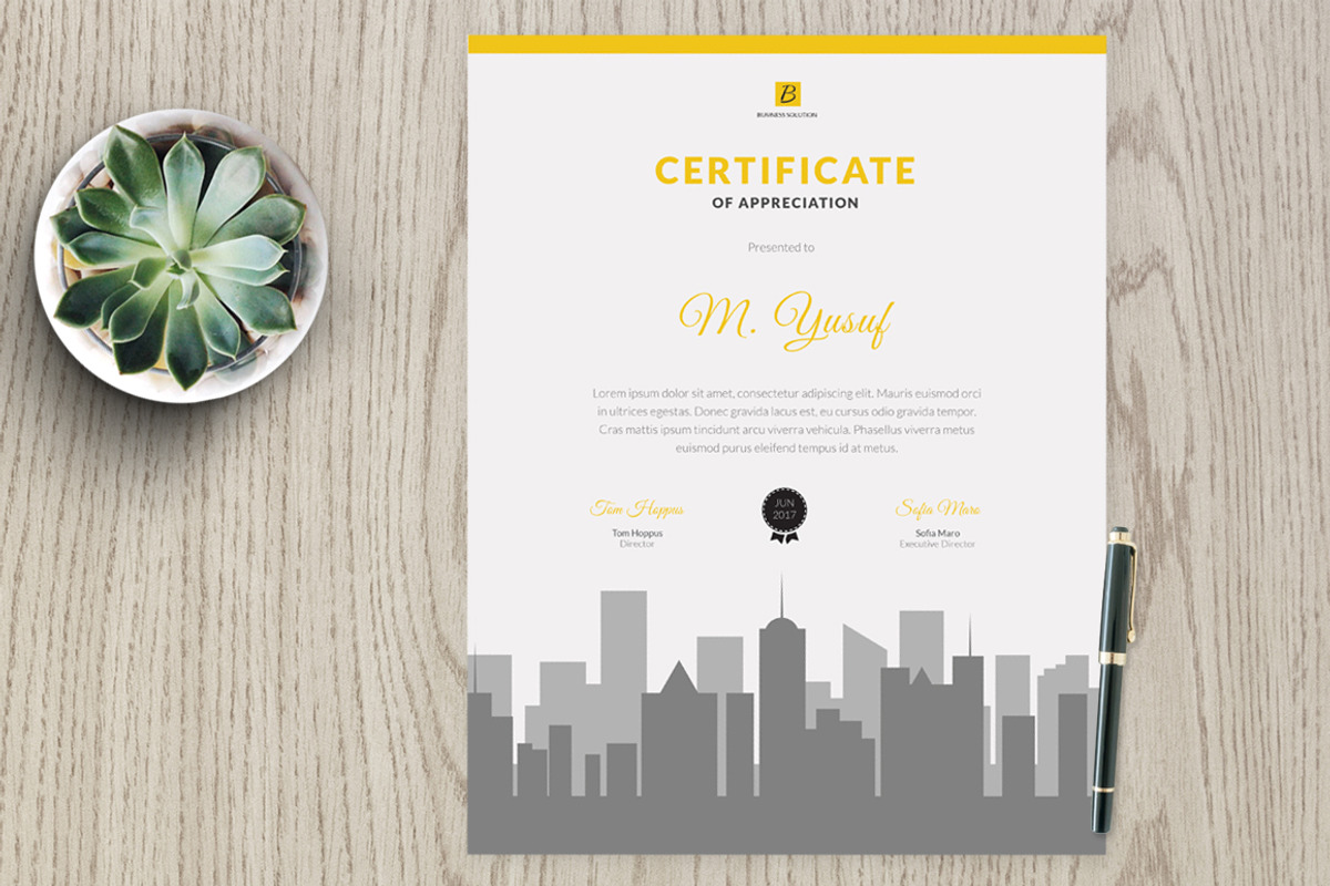 Certificate vm3, a Stationery Template by Kayytechin Shop