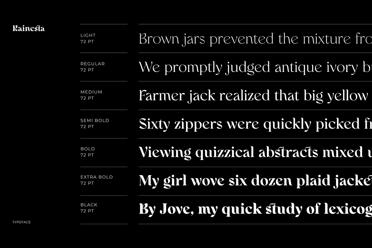 Rainesta Font, a Serif Font by Digitype Studio (Photo 8 of 10)