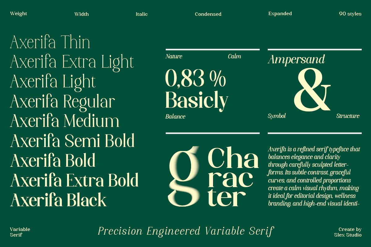 Axerifa Variable, a Serif Font by Slex Studio (Photo 6 of 12)