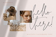 Scandinest - Signature With Ligature, a Script Font by Dirtytemp Studio (Thumbnail 3 of 16)