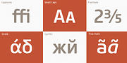 Core Sans M, a Sans Serif Font by S-Core (Thumbnail 4 of 5)
