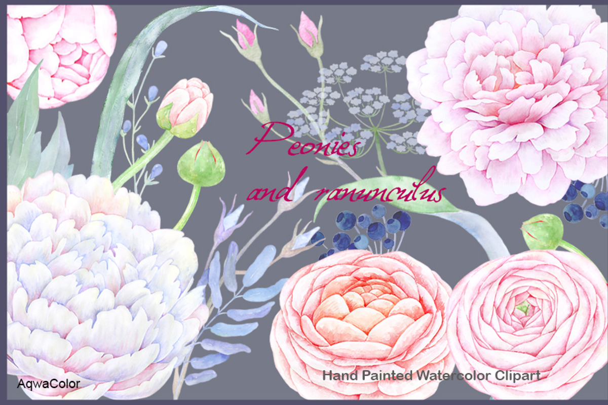 Watercolour clipart Peonies, an Illustration by AqwaColor (Photo 1 of 3)