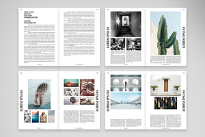 Portfolio And Curriculum Brochure