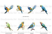Parakeet Clipart, Macaw Parrot PNG, an Animal Illustration by BrushstrokeArtGB (Thumbnail 3 of 9)