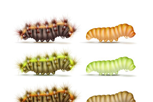 Set Of Caterpillars