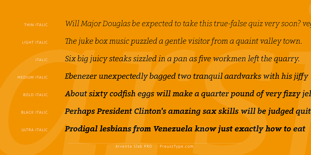 Arventa Slab Pro, a Slab Serif Font by preussTYPE (Photo 5 of 10)