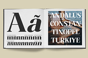 The Musa Editorial | 18 Font Files, a Serif Font by Romiecreative (Thumbnail 9 of 12)