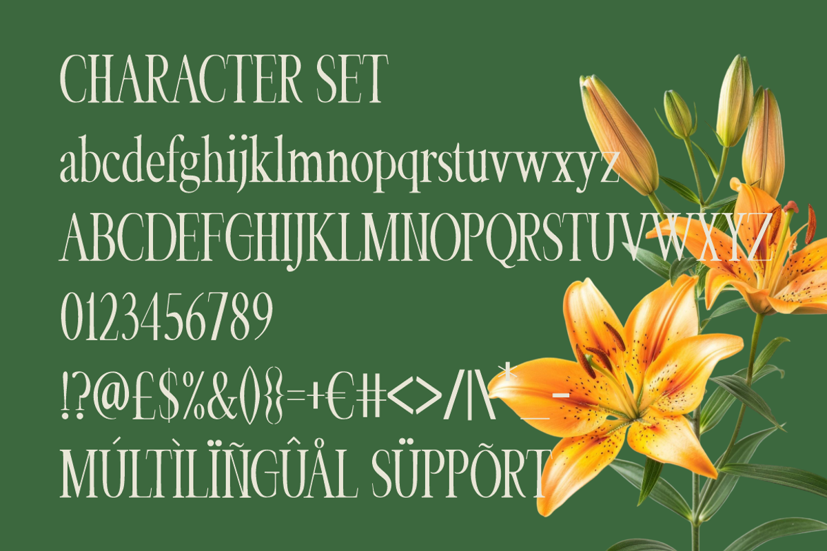 Veloria Palace Classic Serif Font, a Font by PutraCetol Studio (Photo 6 of 6)