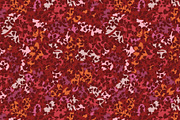 Blooming peony. 4 seamless patterns., a Pattern Graphic by GALAKAM (Thumbnail 3 of 6)