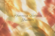 Blurry Floral Gradient Backgrounds, a Background Graphic by Kat Anti (Thumbnail 7 of 7)