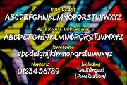 Nomad Type, a Font by BBtypeStudios (Thumbnail 7 of 7)