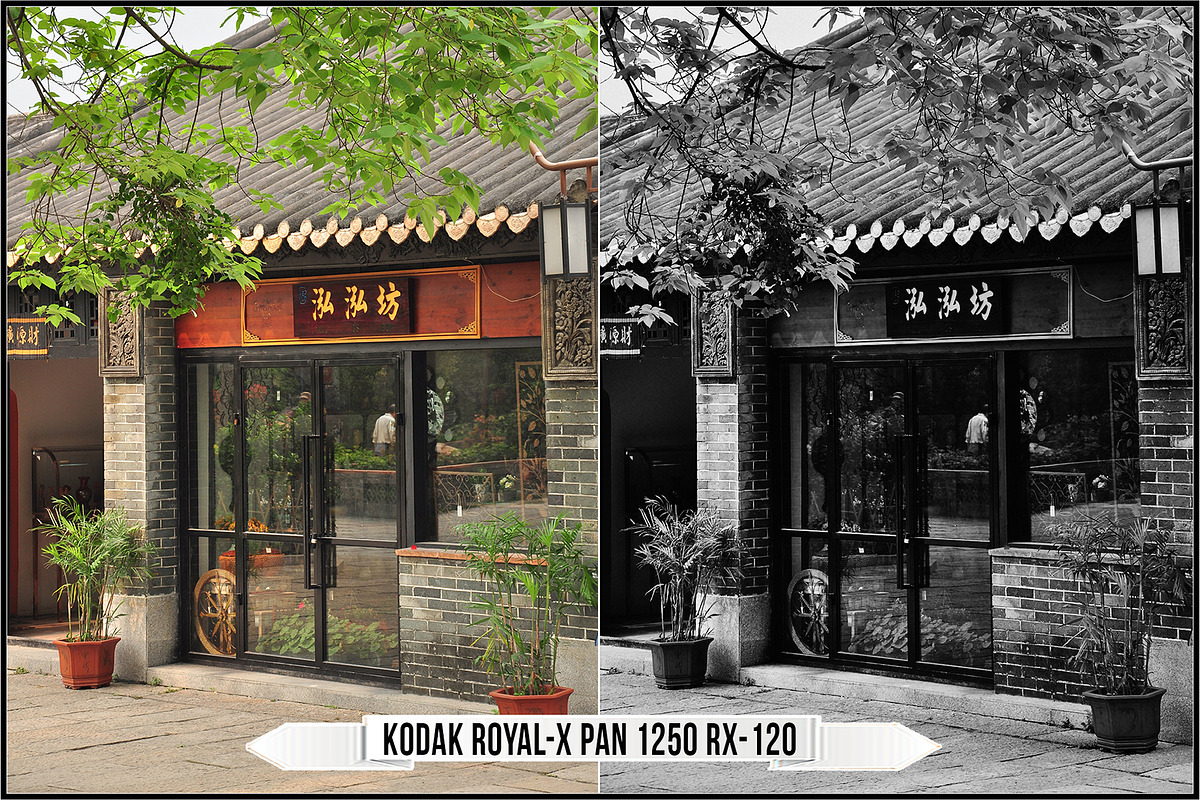 Eastman Kodak Black White Films LUTs, a Plug-in Add-On by Raztrend (Photo 12 of 30)