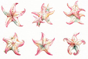 Whimsical Summer starfish clipart, an Illustration by Designworld (Thumbnail 2 of 8)