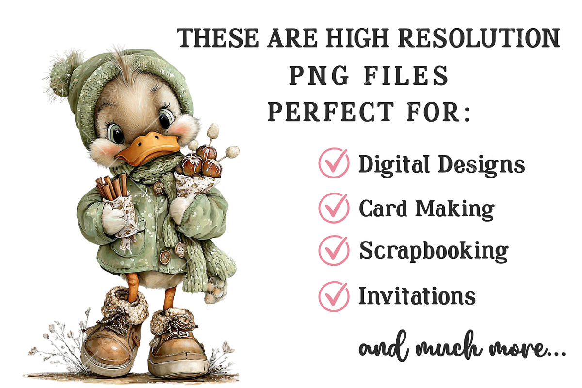 Whimsical Duck Clipart Bundle, a Seasonal Illustration by OK Design (Photo 6 of 6)