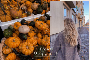 10 Presets Lightroom October Autumn