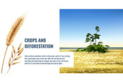Vector Realistic Deforestation Set, an Animal Illustration by Zonda (Thumbnail 10 of 12)