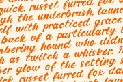 Mavienne - Retro Script Bold Font, a Script Font by Indotype Foundry (Thumbnail 6 of 10)