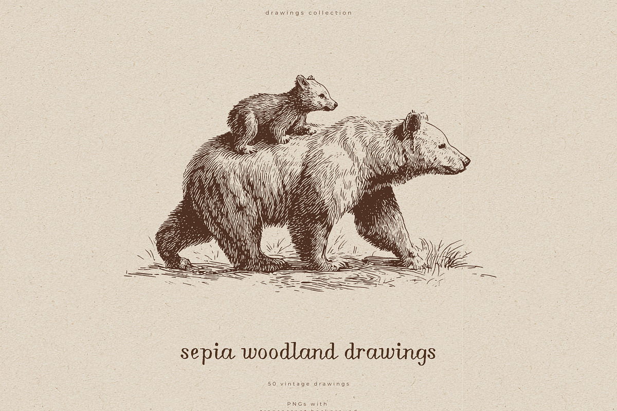 Sepia Woodland Drawings, an Animal Illustration by PeDe Designs (Photo 1 of 15)