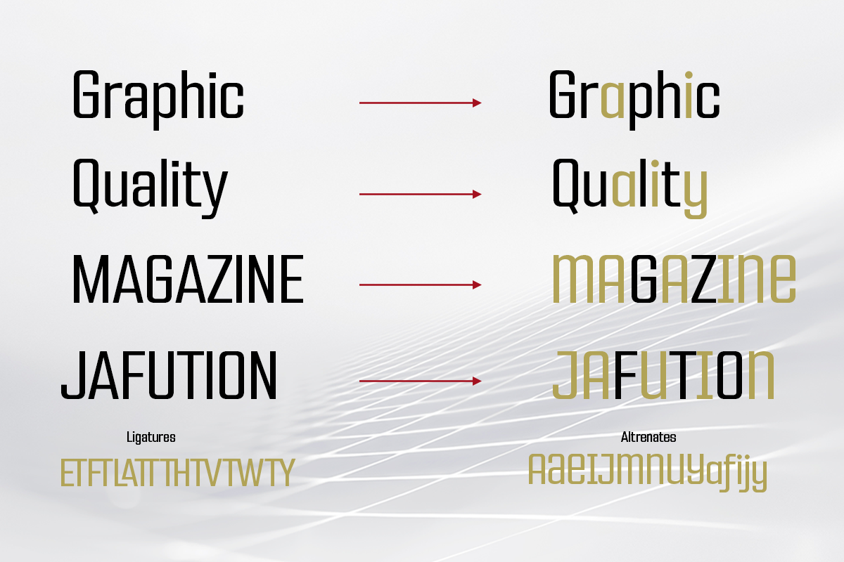 FX Neofara, a Sans Serif Font by Differentialtype (Photo 5 of 10)