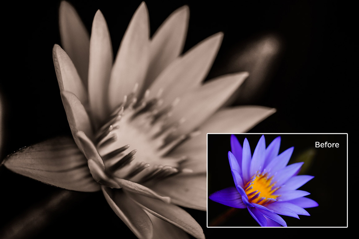 Detail Lightroom Presets, an Action Add-On by PresetKingdom.com (Photo 4 of 4)
