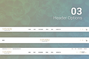 Xanadu MultiConcept PSD Template