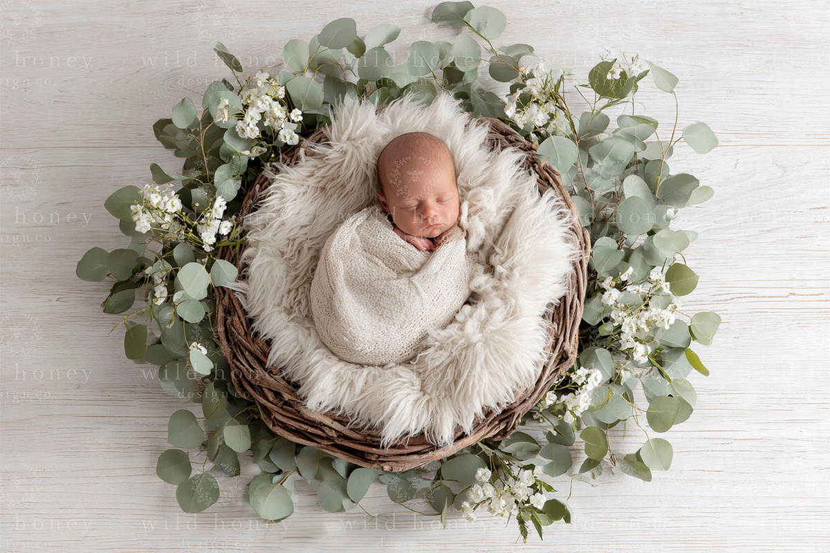 Newborn Nest Digital Backdrop, a Layer Style Add-On by Wild Honey Design Co. (Photo 1 of 2)