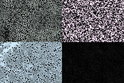 Zine Fiend II Texture Collection, a Graphic by Nlsn Nkla (Thumbnail 9 of 15)